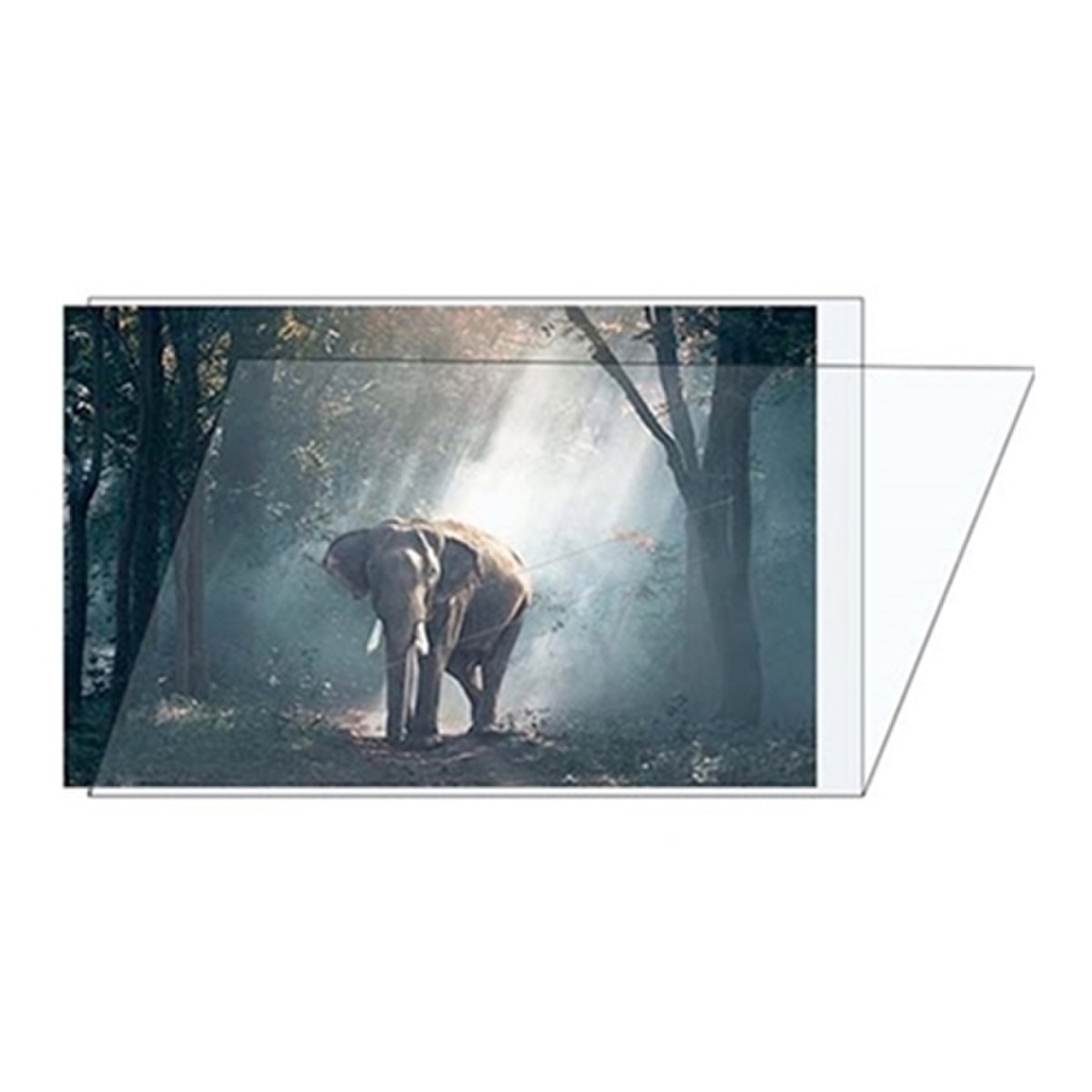 5 x 7 Photo Folder Sleeve